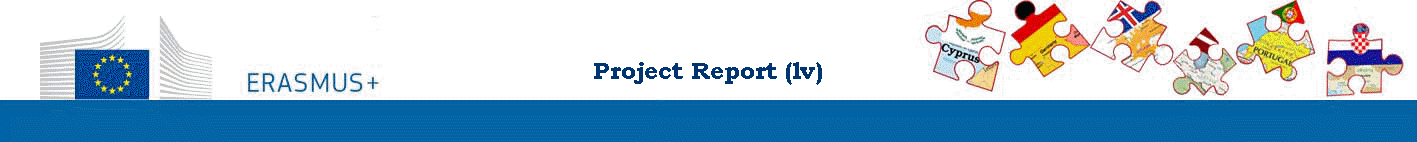 Project Report (lv)