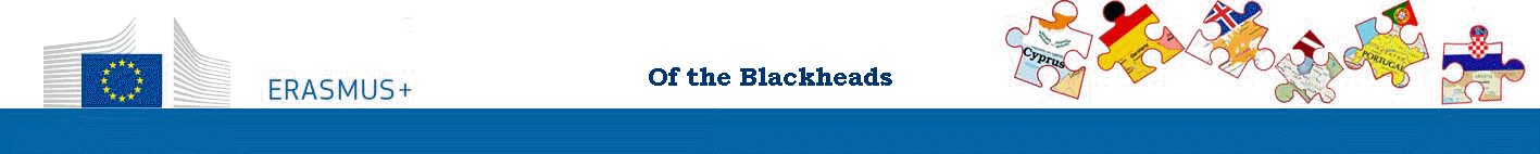 Of the Blackheads